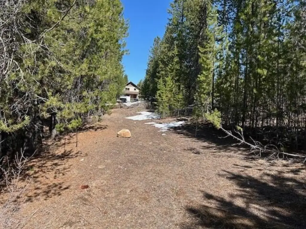 Picture 4