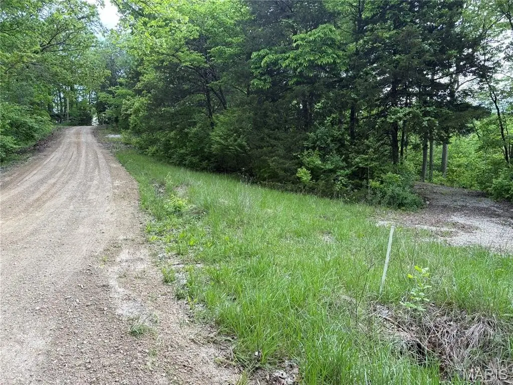 Picture 3