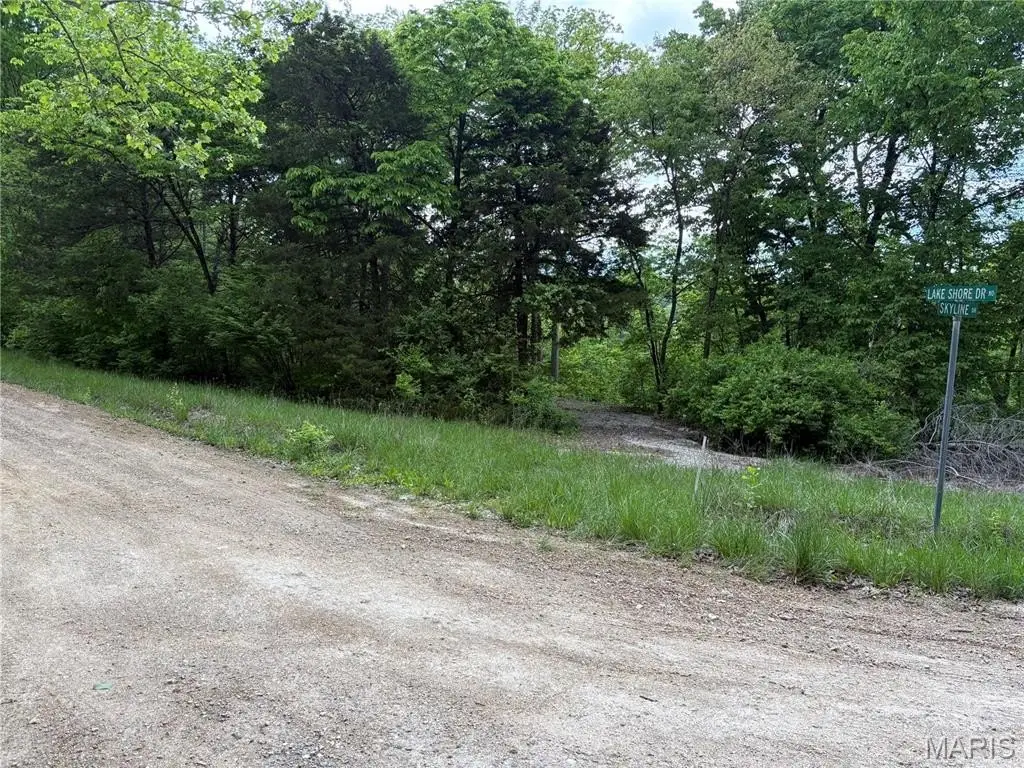 Picture 2