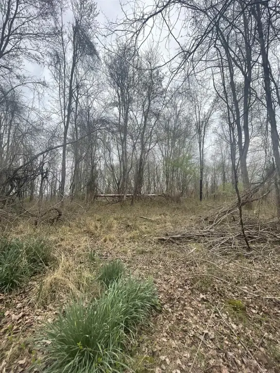 Picture 5