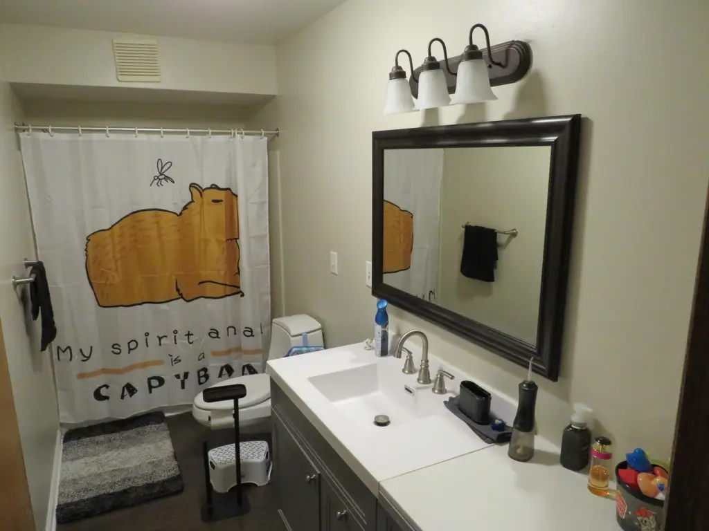 Picture 14