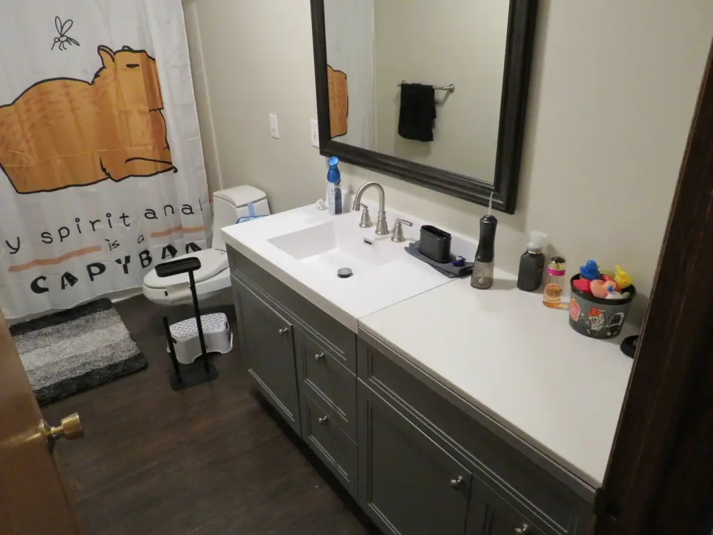 Picture 13