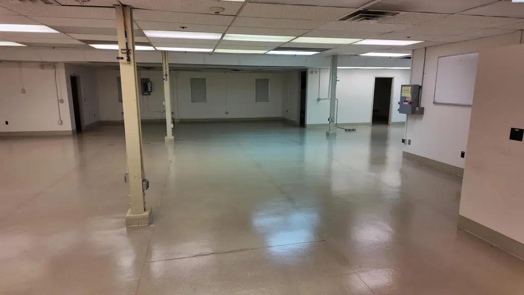 Picture 5