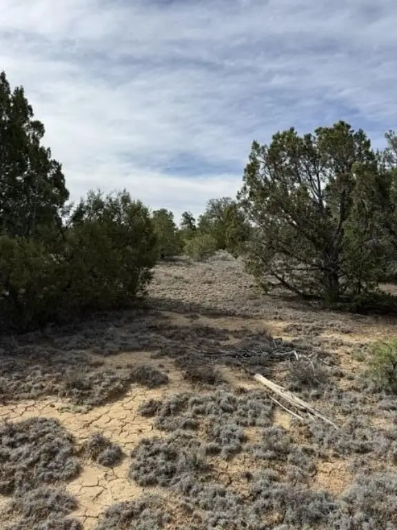 Picture 18