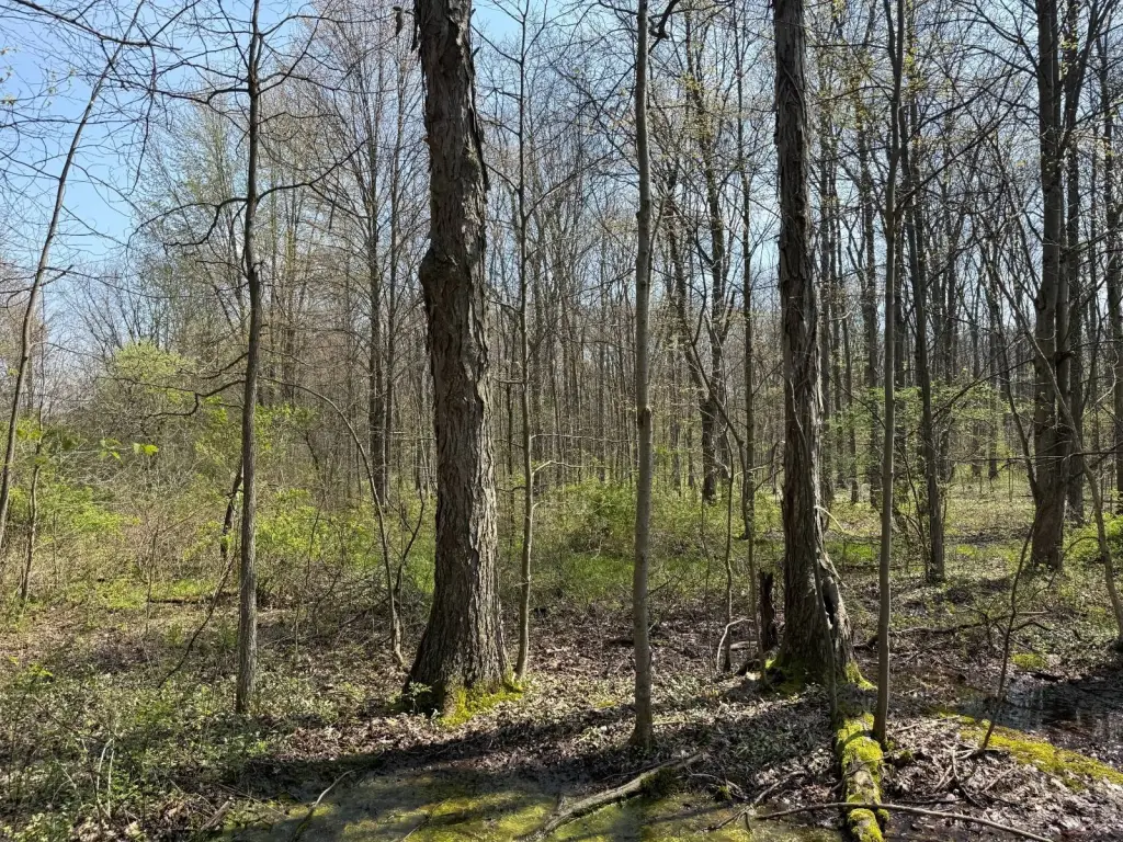 Picture 28