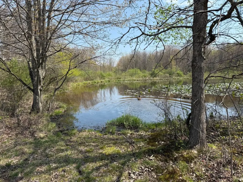 Picture 7