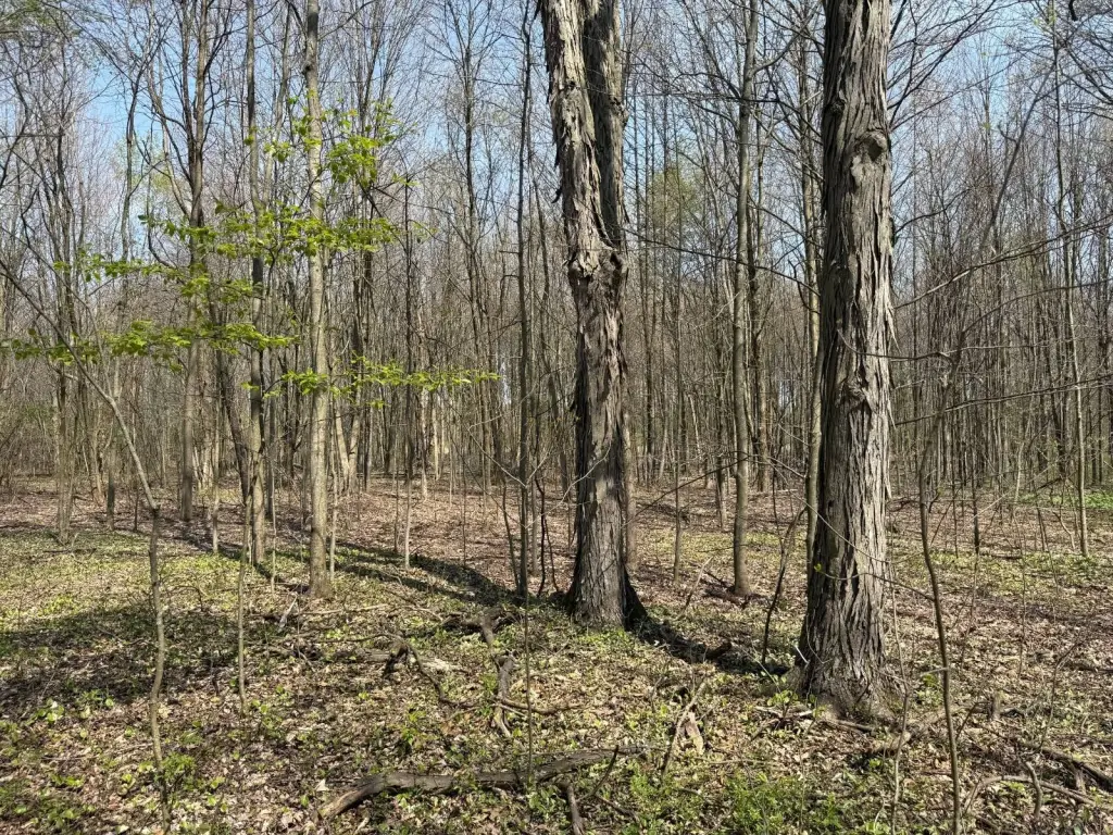 Picture 31