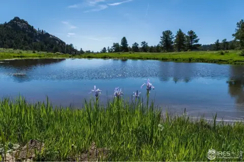 Land with Mountain Views
