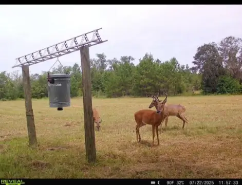 Prime Hunting and Recreation Land