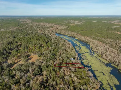 Land on St Marks River