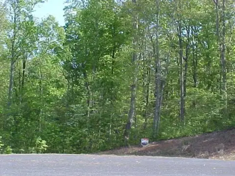 Wooded Lot in Stockton Lake