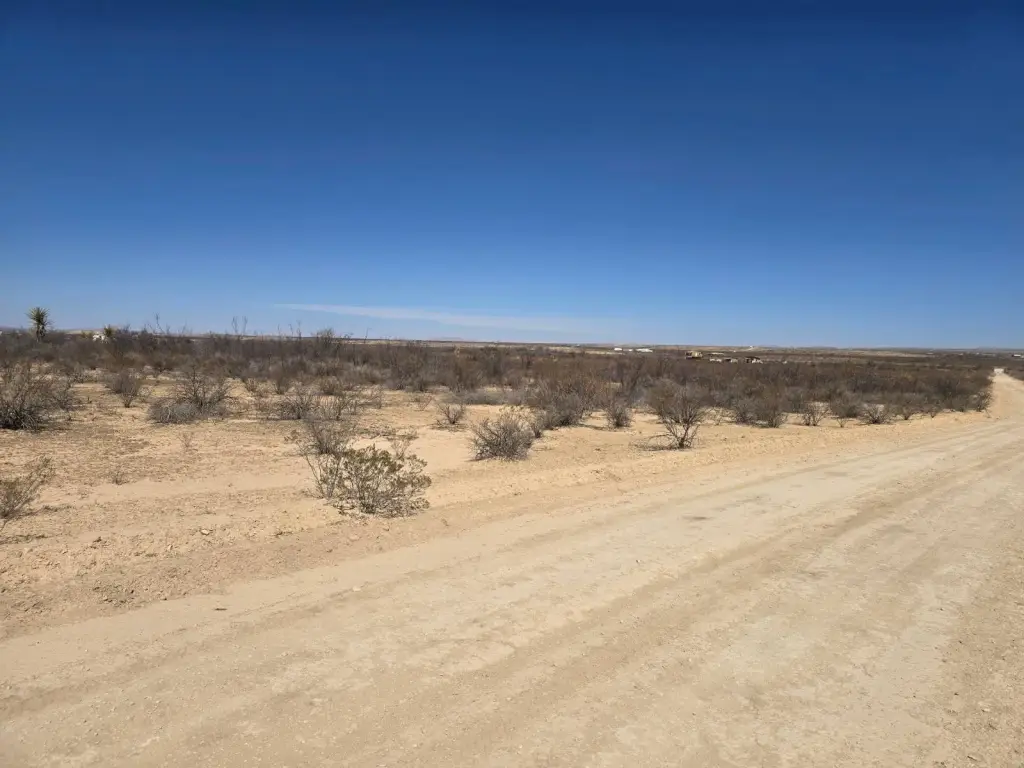 Picture 19