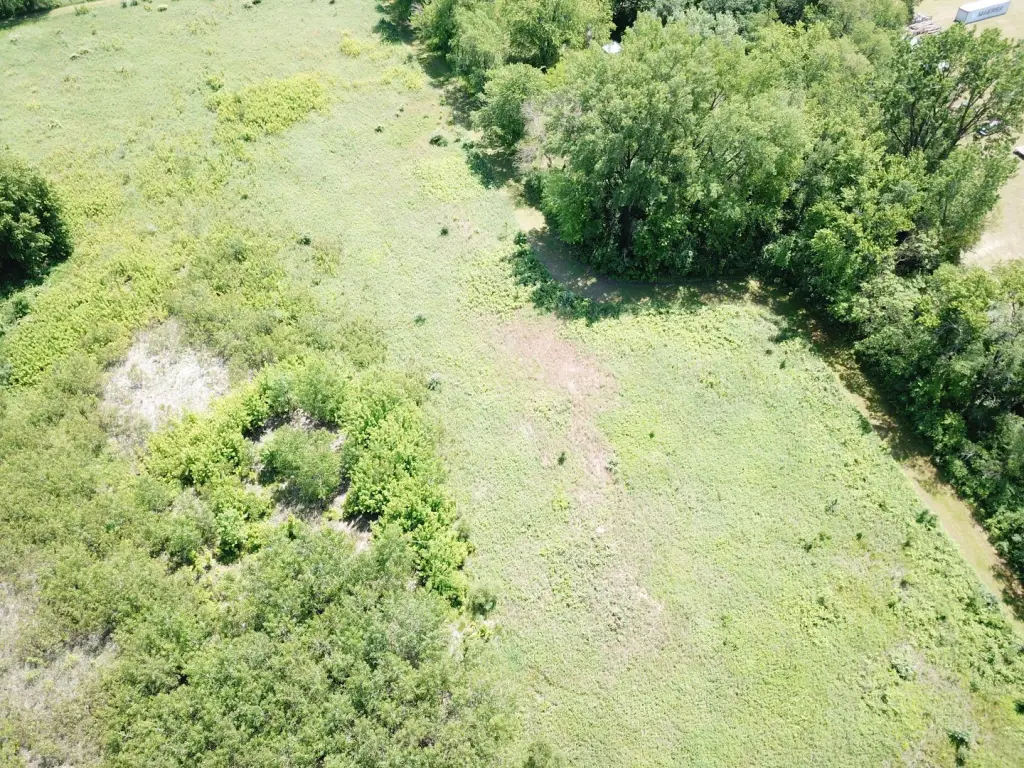 Picture 4