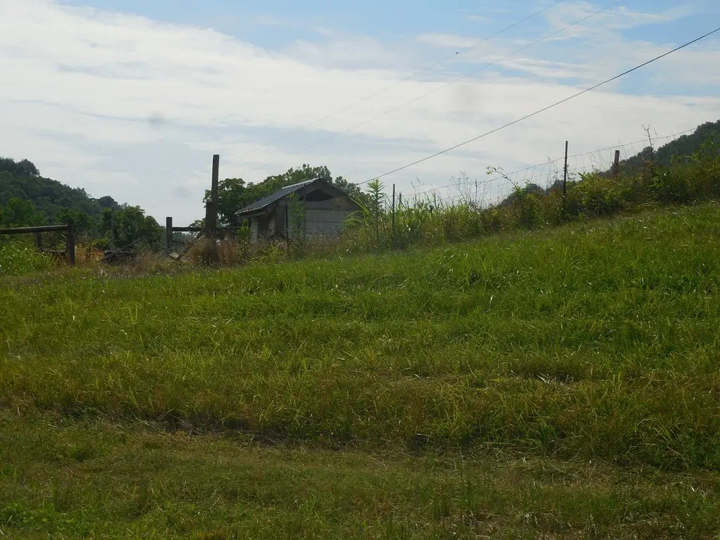 Picture 4