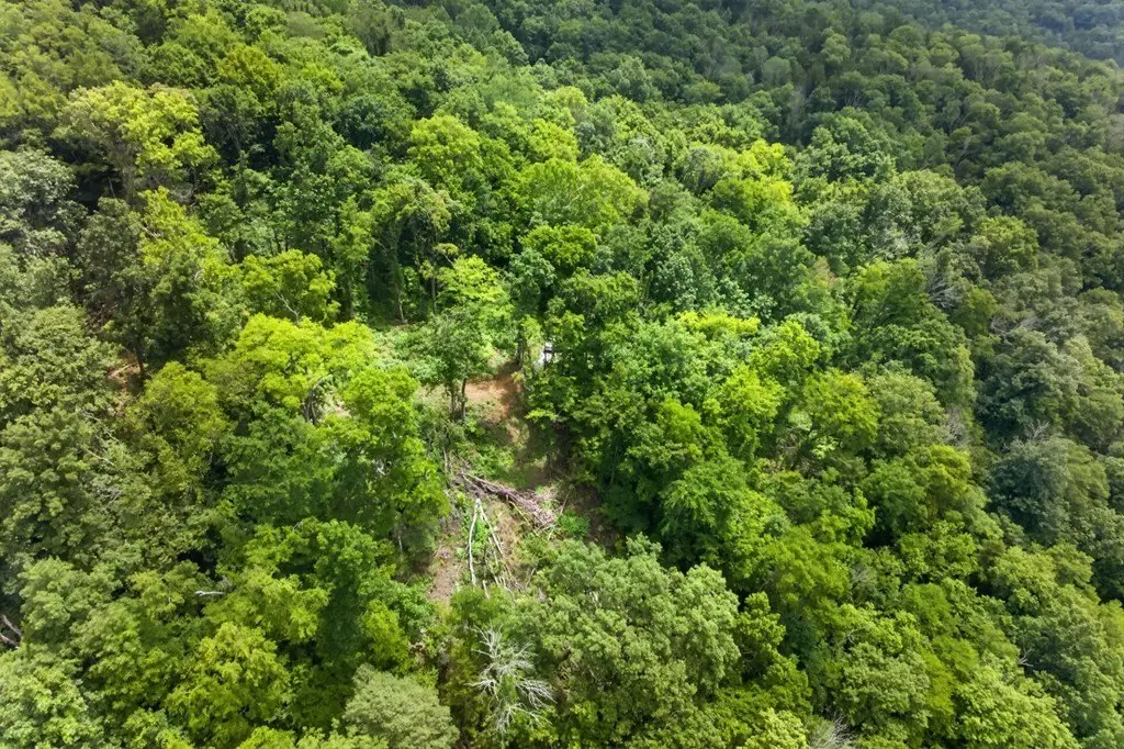 Picture 13