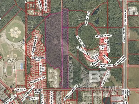 56 Acres in Gulf Shores