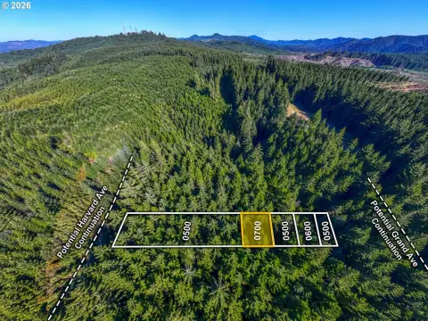 Wooded F2-Zoned Land