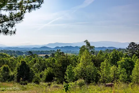 21 Acres with Mountain Views