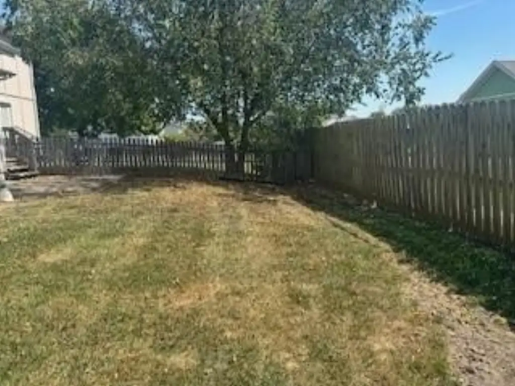 Picture 18