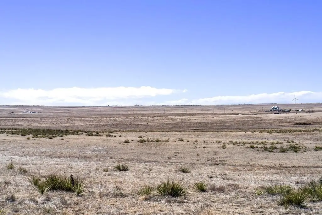 Picture 22