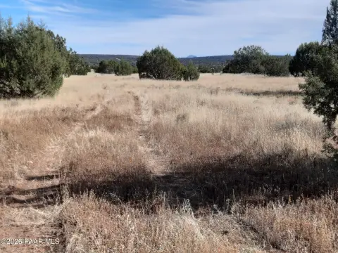 Land in Seligman, Arizona