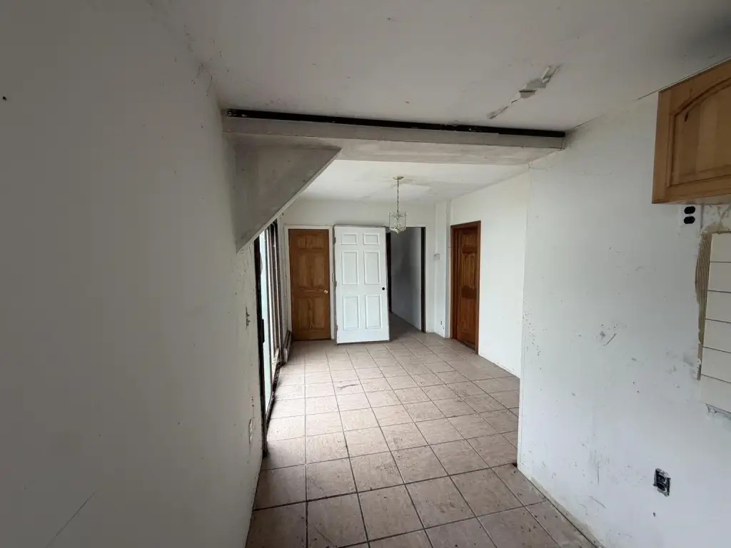 Picture 11