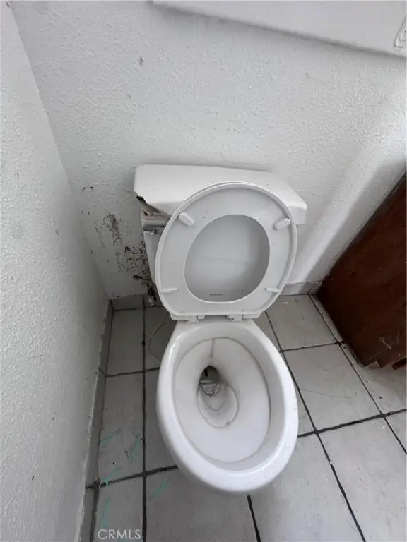 Picture 17
