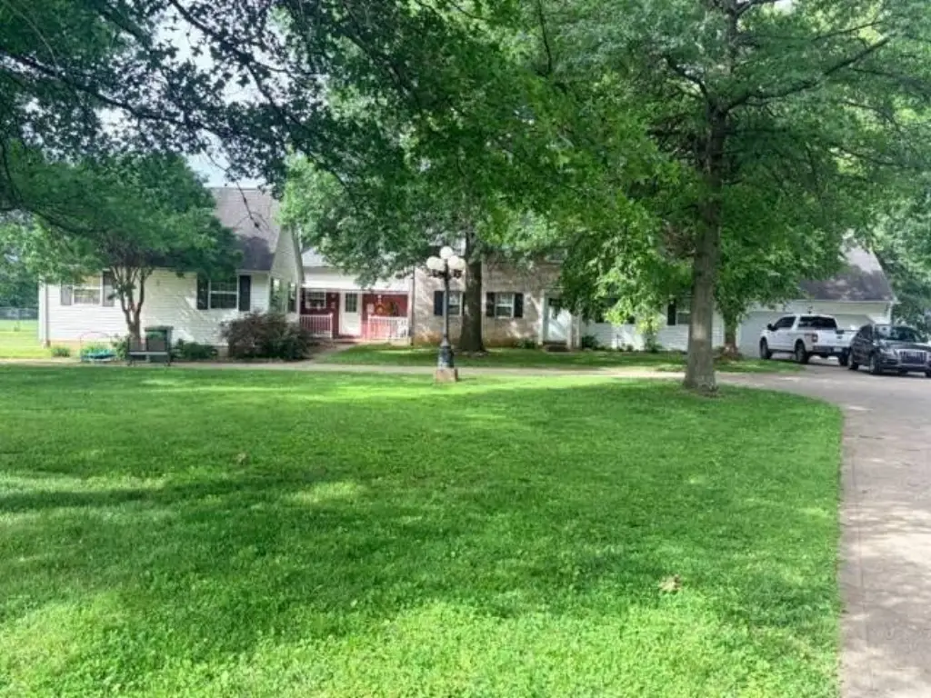 Picture 3