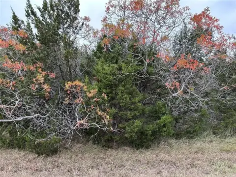 Land in White Bluff Community