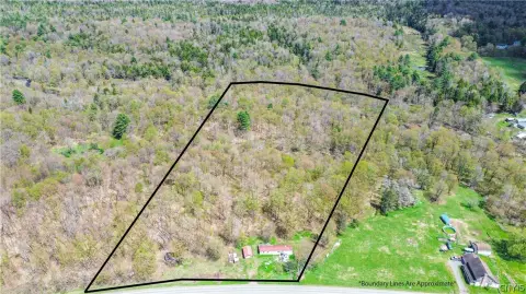 14 Acres of Wooded Land