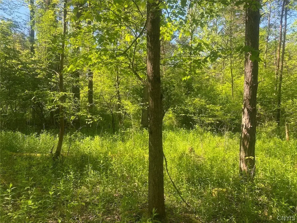 Picture 5
