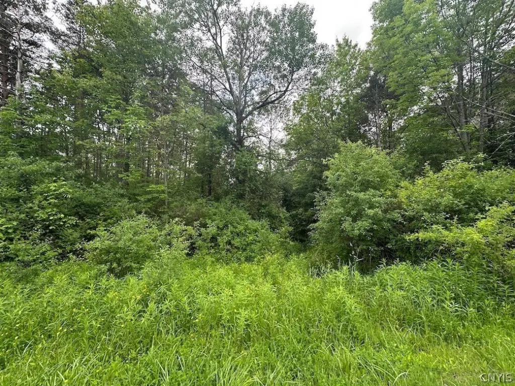 Picture 5