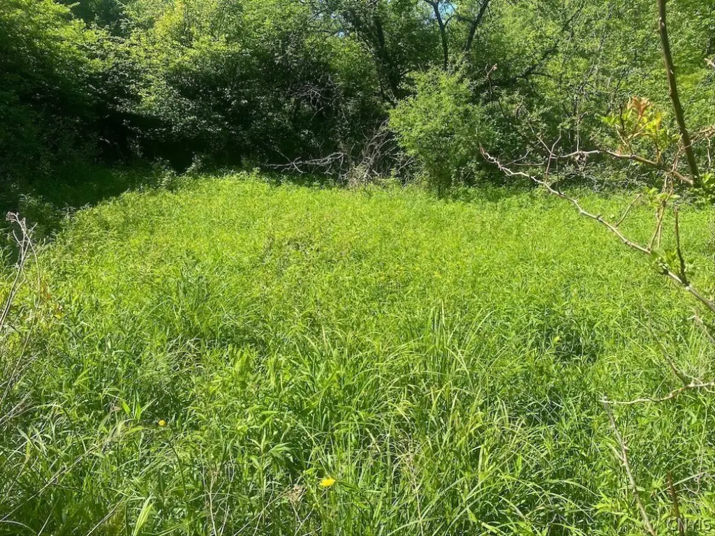 Picture 6