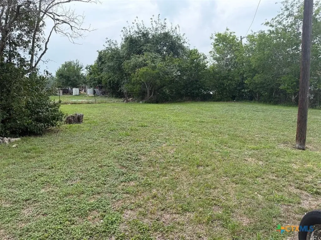 Picture 12