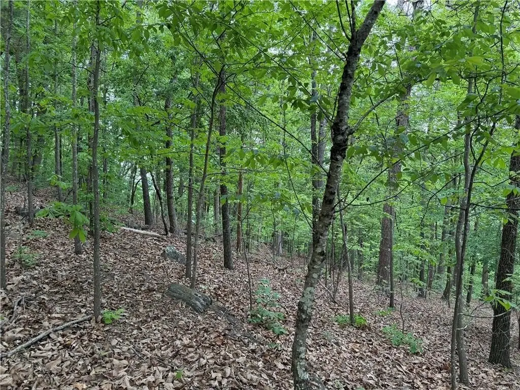 Picture 17