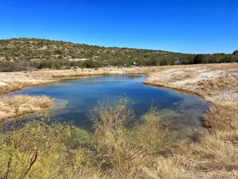 Texas Acreage with Hunting Potential