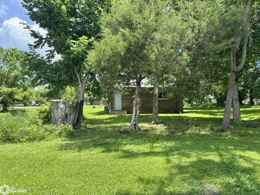 Picture 14