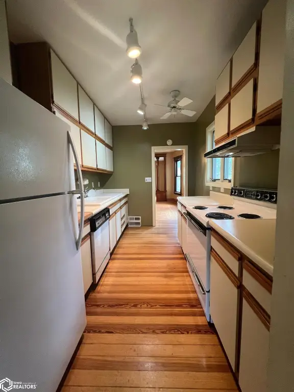 Picture 19