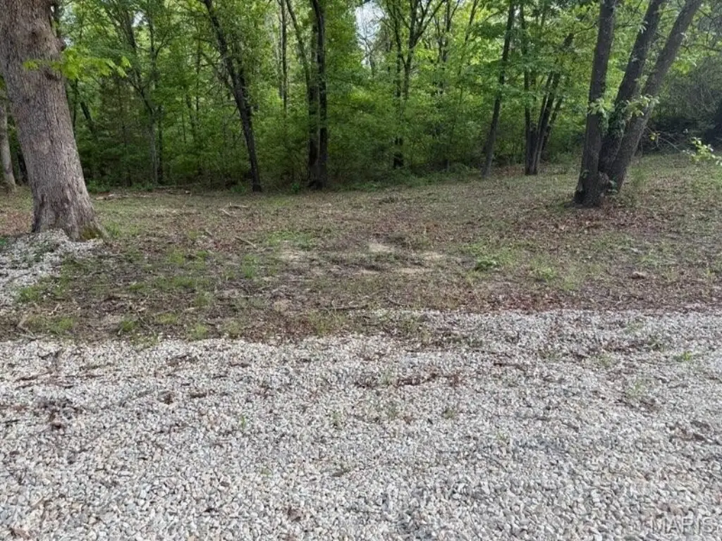 Picture 4
