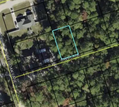 Wakulla County Vacant Land Parcel