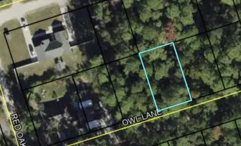 Wakulla County Vacant Land Parcel