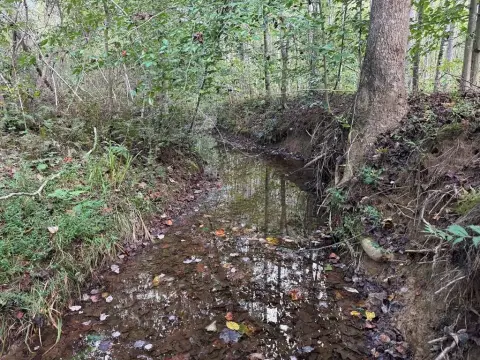 Shipman, VA Wooded Land
