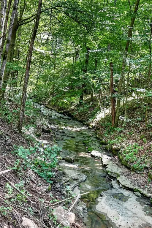 Picture 23