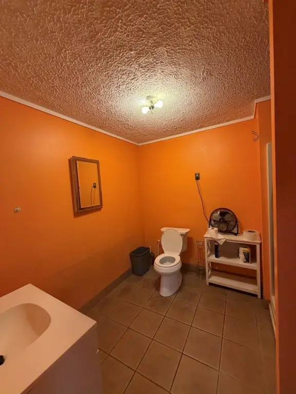 Picture 20