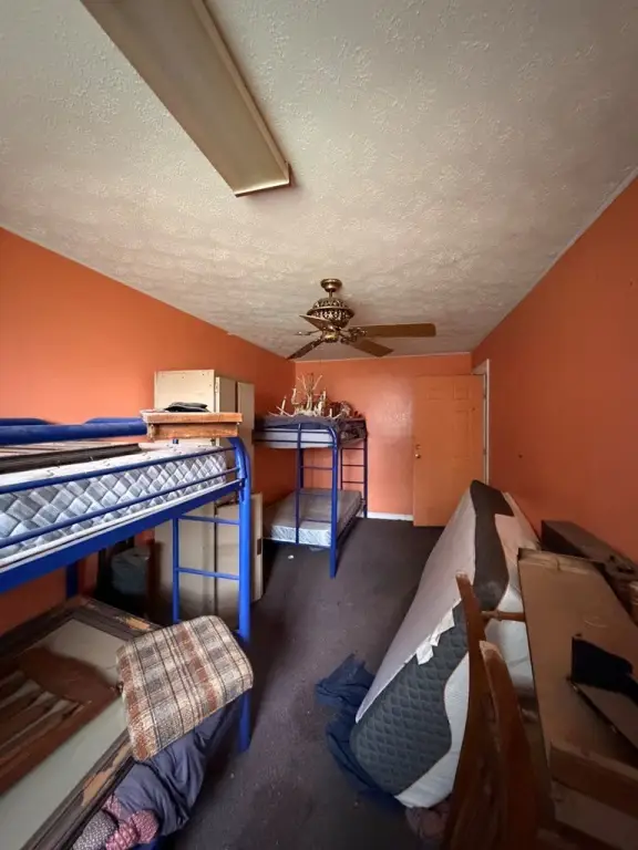 Picture 23