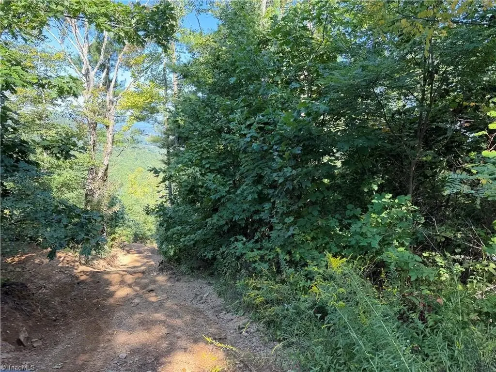 Picture 25