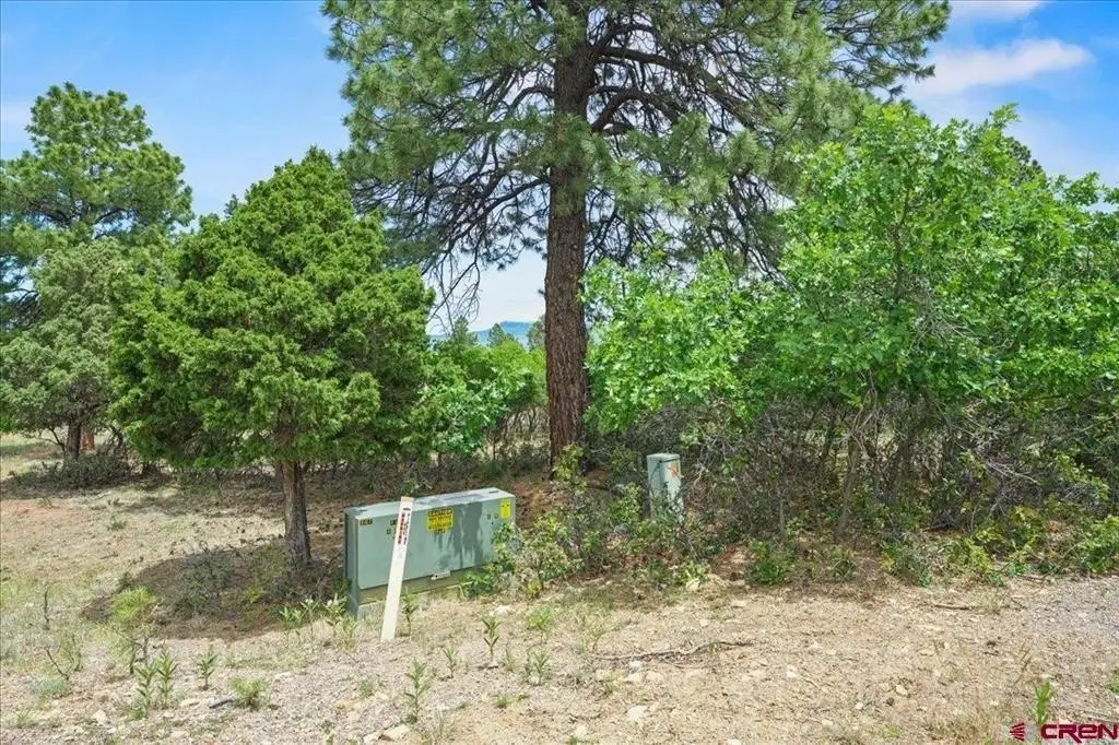 Picture 8