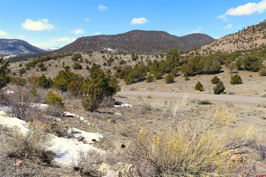 Picture 8