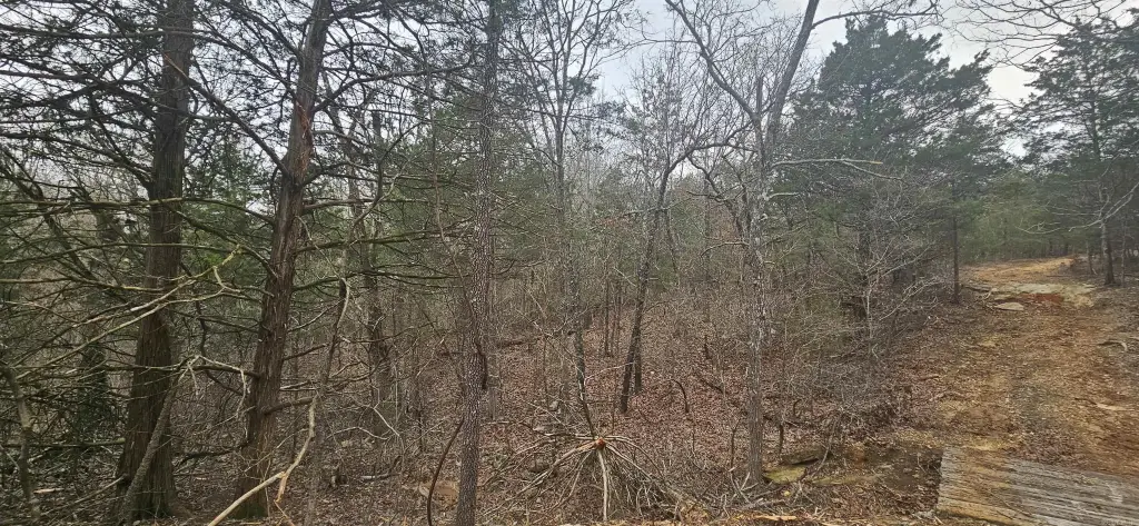 Picture 3