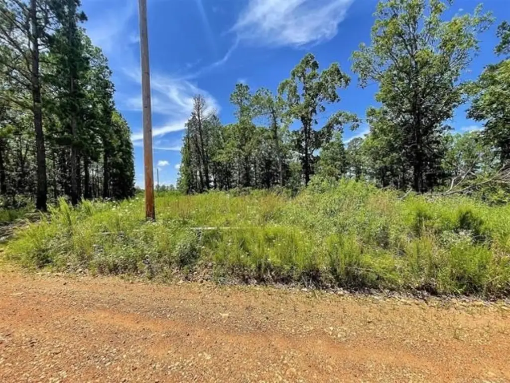 Picture 5